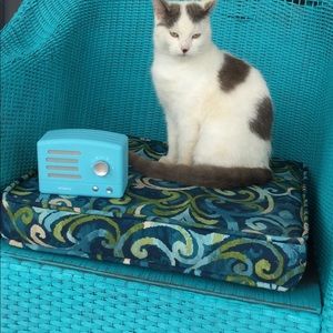 Meet your Posher, Ainsley